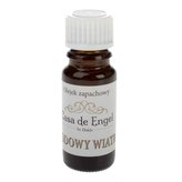 Parfémová kompozice 10ml "LODOWY WIATR", 0/25