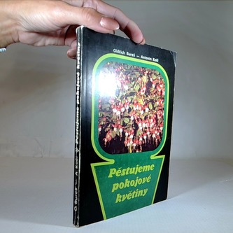 Pěstujeme pokojové květiny