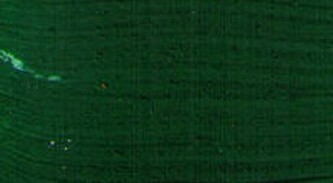 Restaurátorská barva Renesans 20ml – 15 Green lake