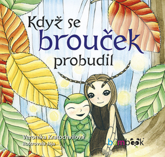 Když se brouček probudil