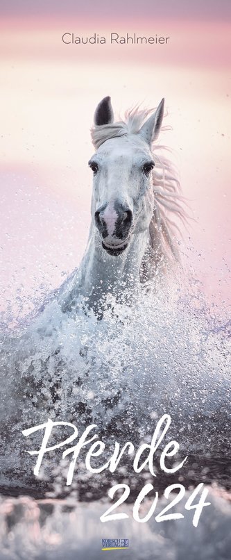Pferde 2024