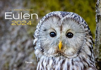 Eulen Kalender 2024