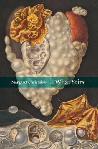 What Stirs What Stirs