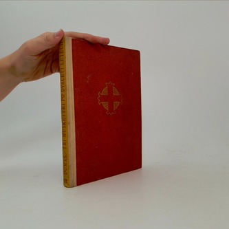 Tři mušketýři po dvaceti letech III.