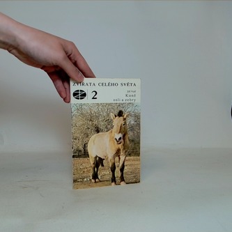 Zvířata celého světa 2: Koně, osli a zebry