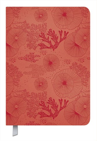 Timer Soft Touch koralle 2024