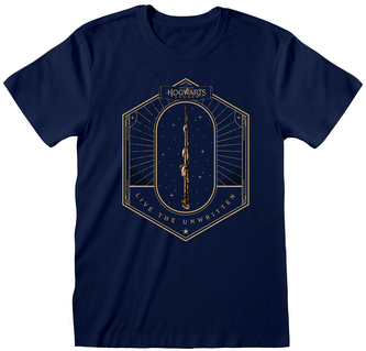 Pánské tričko Harry Potter|Hogwarts Legacy: Golden Wand (2XL) navy bavlna Pánské tričko Harry Potter|Hogwarts Legacy: Golden Wand (2XL) navy bavlna
