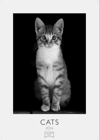 Cats 2024 S 29x21cm