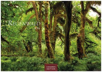 Regenwald 2024 L 35x50cm