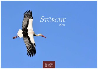 Störche 2024 S 24x35cm