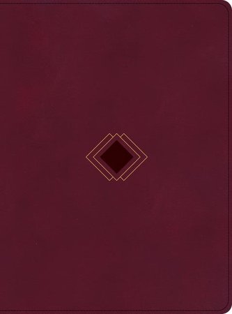 CSB Day-By-Day Chronological Bible, Burgundy Leathertouch