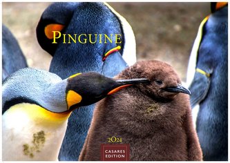 Pinguine 2024 S 24x35cm