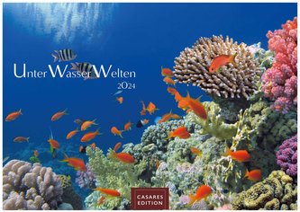 Unterwasserwelten 2024 L 35x50cm