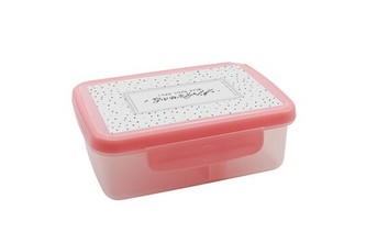 R&B Zdravá sváča box SCANDI růžová 700