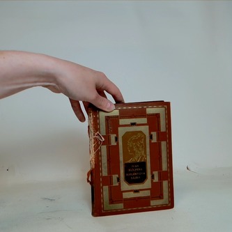 Suplentova sázka a jiné povídky