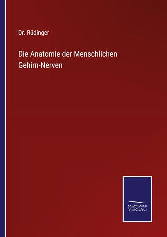 Die Anatomie der Menschlichen Gehirn-Nerven