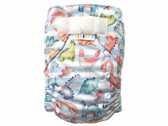 Ai2 BIO (M) - Dinosauři z druhohor SZ