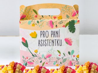 LIPOO DÁRKOVÝ BOX PRO PANÍ ASISTENTKU