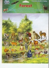 Naklejki Family Las 120 x  600