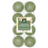PanAroma Vonné čajové svíčky Honeysuckle & Sandalwood 16ks