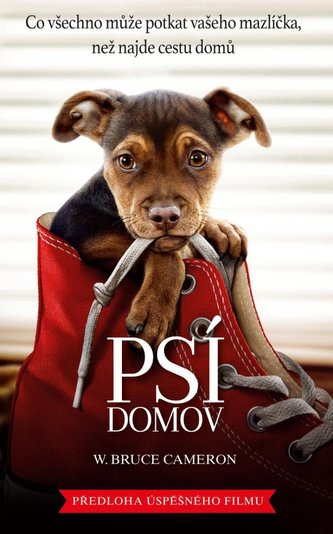 Psí domov Psí domov