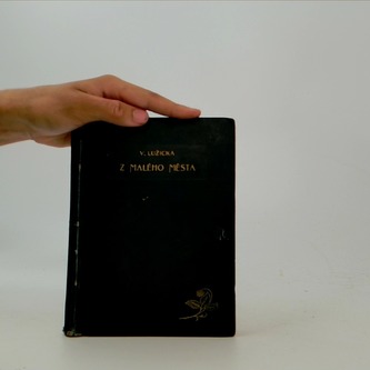 Z malého města