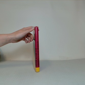 Vraždy v ulici Morgue