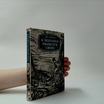 K neznámým pramenům Choru