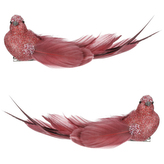 Ptáček s klipem, 4ks v krabičce, cena za 1 krabičku