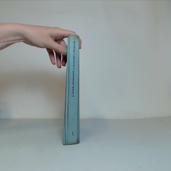 Automobil a motocykl v obrazech