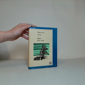 Vane vítr z hor, Není jiné cesty