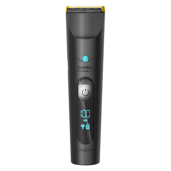 4333 PrecisionCare Wet&Dry;