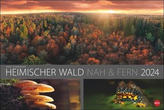 Wald nah und fern Edition Kalender 2024