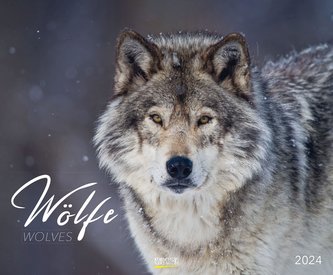 Wölfe 2024