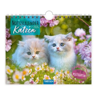Trötsch Notizkalender Querformat Notizkalender Katzen 2024 - mit 12 Postkarten
