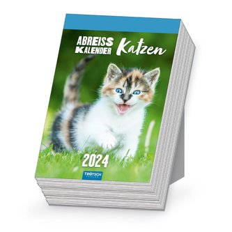 Trötsch Abreißkalender Katzen 2024