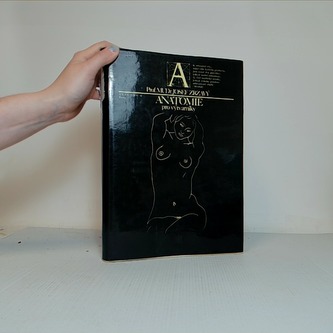 Anatomie pro výtvarníky