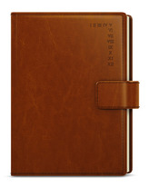 Denní diář 2024 Ctirad s výsekem A5 hnědá