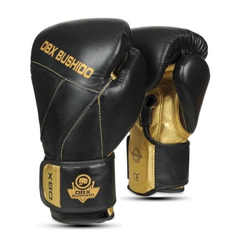 B-2v14 12 OZ BOXERSKÉ RUKAVICE DBX BUSHIDO
