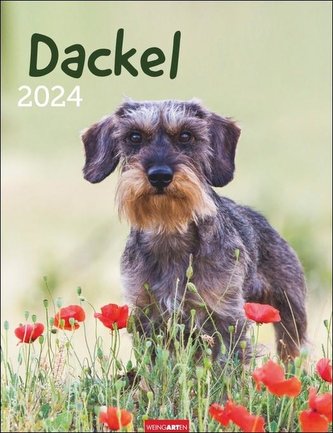 Dackel Kalender 2024 Dackel Kalender 2024