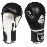 ARB-407A 10 OZ. BOXERSKÉ RUKAVICE DBX BUSHIDO