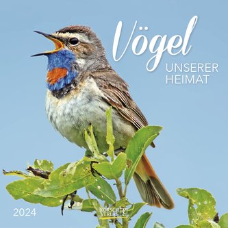 Vögel 2024