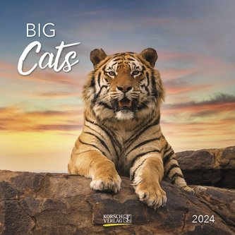 Big Cats 2024