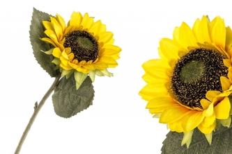 Slunečnice 40 cm