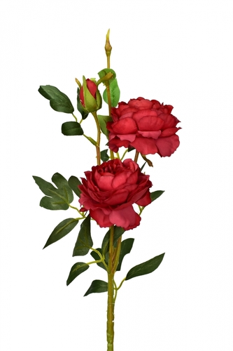 Růže červená 66 cm