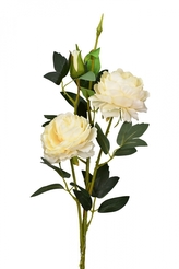 Růže krémová 66 cm