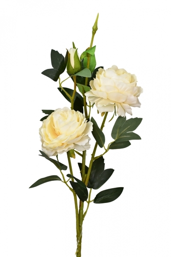 Růže krémová 66 cm