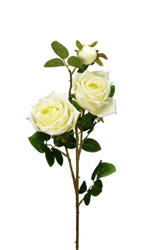 Růže bílá 71 cm