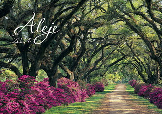 Kalendář 2024 Aleje, nástěnný