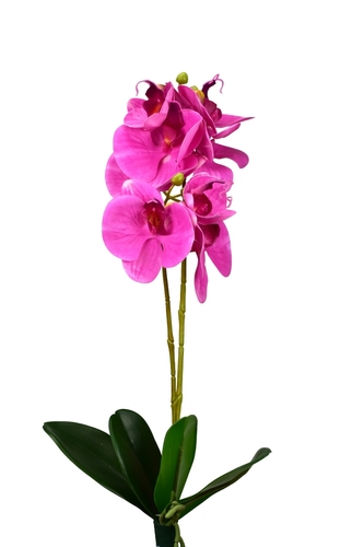 Umělý Phalaenopsis tmavě růžový 50 cm